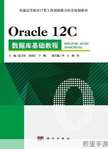 探索数据库新世界,Oracle 12C数据库实例安装全攻略