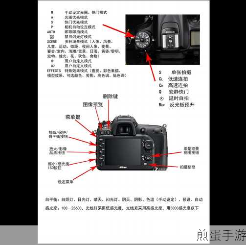 尼康D4:尼康D4的全面评测与实用技巧