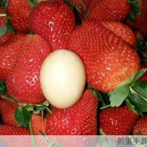 精产国品一二三产区草莓:精产国品草莓区域拓展策略
