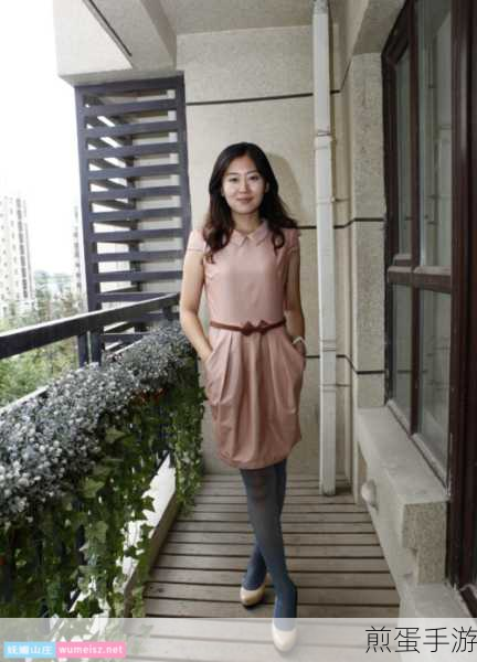 精品淑女少妇AV久久免费：优雅魅力的熟女之旅