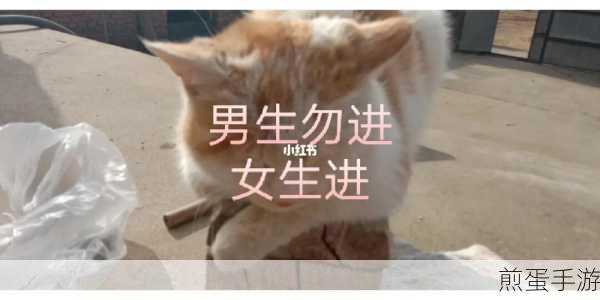 男生女生一起努力生猴子：共同奋斗迎接新生