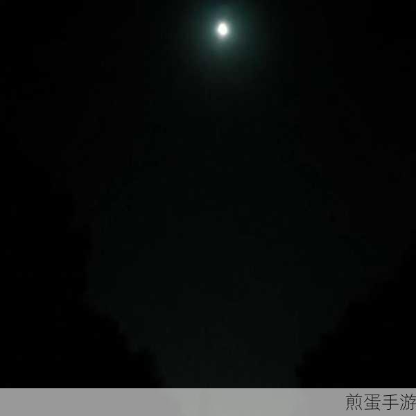 凌晨三点看的视频：夜深人静时的奇幻旅程