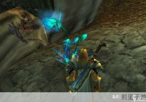 魔兽世界体质圣典有什么用-魔兽世界体质圣典任务介绍,深度揭秘游戏中的神秘宝藏