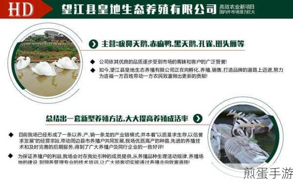 肉食教师食取报告3HD:肉食教师食取报告3HD的深入分析与探讨