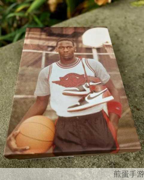 AIRJORDAN重口只有付费才能访问回复:探索AIRJORDAN重口的付费访问秘密