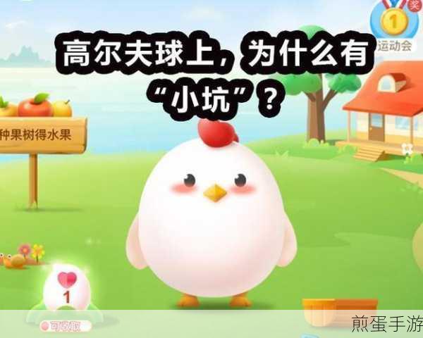 蚂蚁庄园运动场,运动场为什么是南北向的,探究背后的科学奥秘