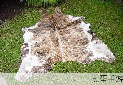 AAAA级毛皮最火的一句更新太慢:更新速度慢引发的毛皮热潮