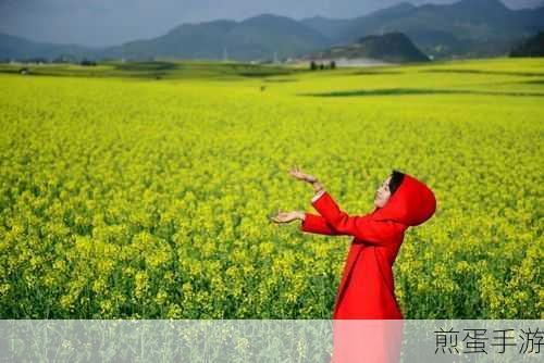 鼓蓬蓬的牦户之乐：感受鼓蓬蓬的牦户之乐，享受自然的魅力🌄🎶