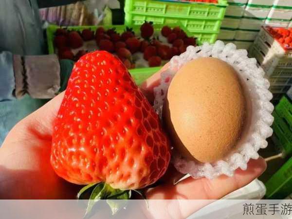 蜜丝婷大草莓和小草莓对比最新通道来了-：蜜丝婷大草莓与小草莓最新对比分析