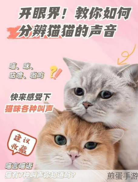 猫猫栽培攻略_猫猫栽培攻略大全_猫猫栽培wiki，成为猫猫达人的必备指南