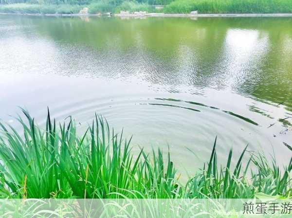 青青河边草高清免费版视频:青青河边草的自由与梦想