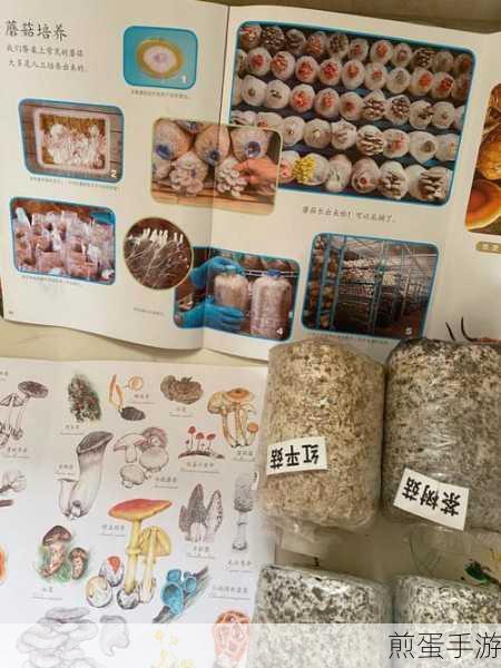 精产国蘑菇品一二三产品区:拓展精产国蘑菇品一二三产品区