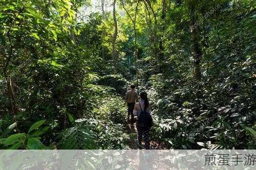 双手游走在一丛茂密(在茂密丛林中的双手游走探险)