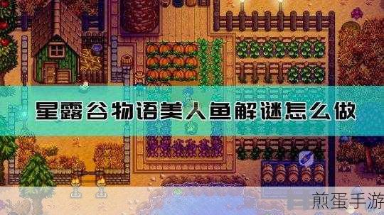 星露谷物语，揭秘姜岛美人鱼长笛块的敲击之谜