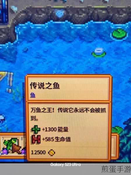 星露谷物语钓鱼获得的物品有哪些,探索神秘宝藏的惊喜之旅