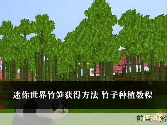 迷你世界种树全攻略,打造你的绿色乐园