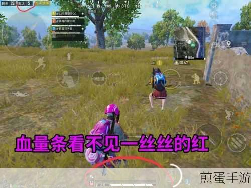 和平精英小鸡仔回血键在哪调,全网都在找的神秘答案