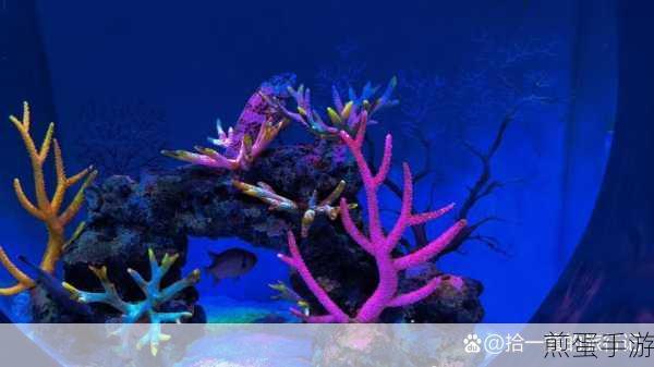 妄想山海海底图腾探索指南,图腾位置览表海底神秘图腾揭秘,全方位攻略解析,带你玩转海底世界
