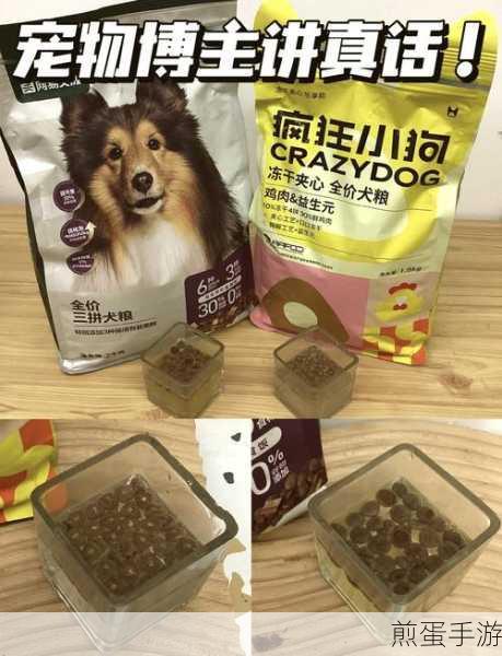 山海镜花狗粮队长攻略,高效喂狗粮优先顺序揭秘