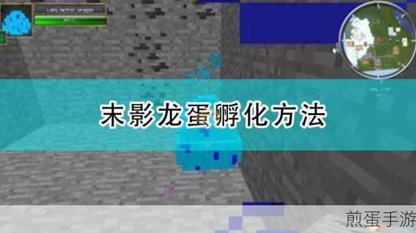 我的世界末影龙头制作方法详解及用途介绍,构造指引与功能概览,成为游戏大神的必备秘籍