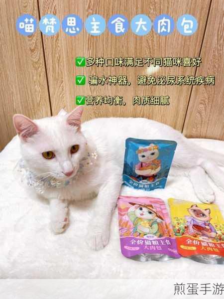 小森生活，猫咪养成攻略，轻松把猫带回家