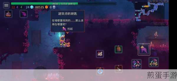 重生细胞墓地探险,解锁复杂迷宫中的生死密码