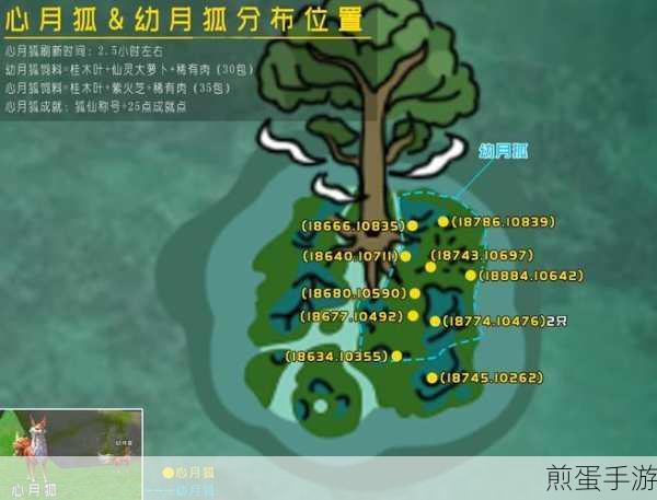 创造与魔法探索之旅,胧月小花获取全攻略