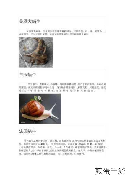 揭秘最强蜗牛,国家特性顶级等级全解析