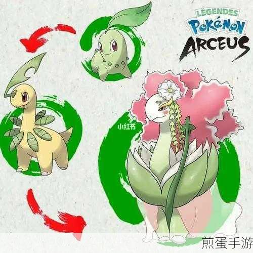 宝可梦传说阿尔宙斯,小卡比兽捕捉全攻略