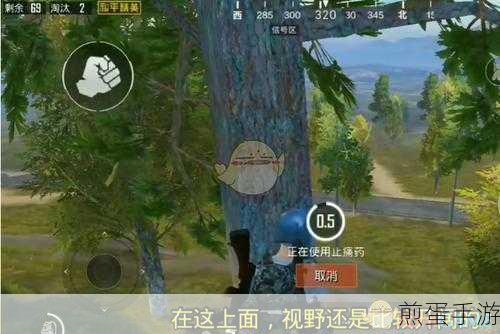 和平精英监狱阴人秘籍,掌握隐蔽设伏与高效伏击