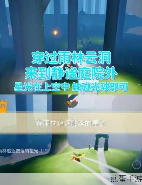 光遇追逐散落的星光雨林,探索未知的奇幻之旅