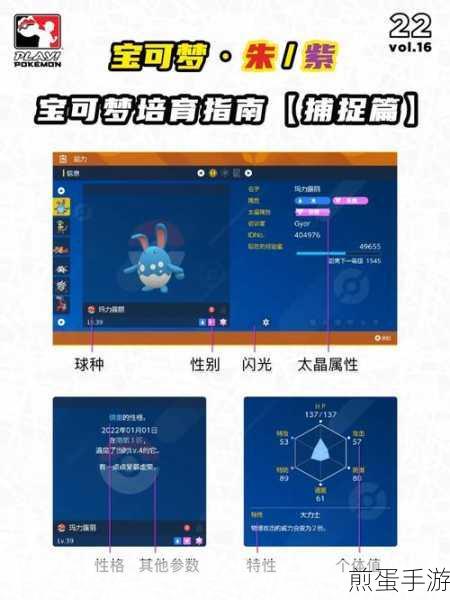 宝可梦朱紫，全面指南——解锁与好友的多人联机对战及冒险之旅