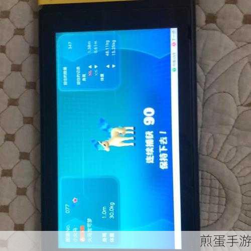 口袋妖怪重制闪光精灵捕捉全攻略