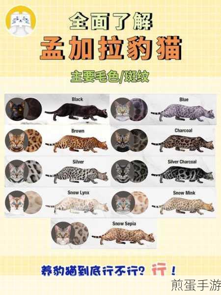 我的世界中国版,揭秘豹猫驯服全攻略