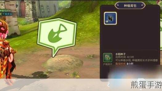 龙之谷手游家园怎么玩龙之谷手游家园系统介绍,探秘龙之谷手游家园玩法,成为游戏高手