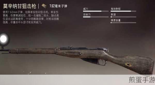 和平精英攻略,莫辛纳甘枪刷新位置全揭秘——地图探索与实战策略