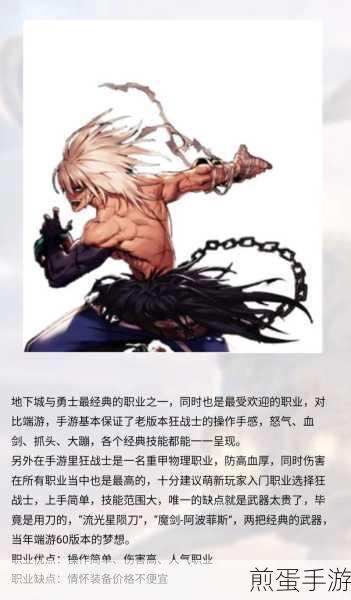 地下城与勇士,新手快速上手与长远发展的职业推荐