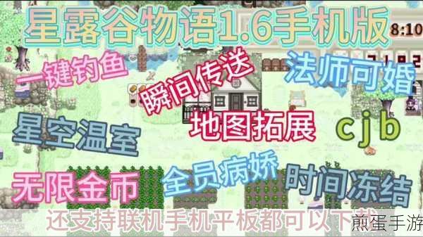 星露谷物语秋季展览会怎么玩像素谷展览会攻略,带你玩转星露谷秋季盛会