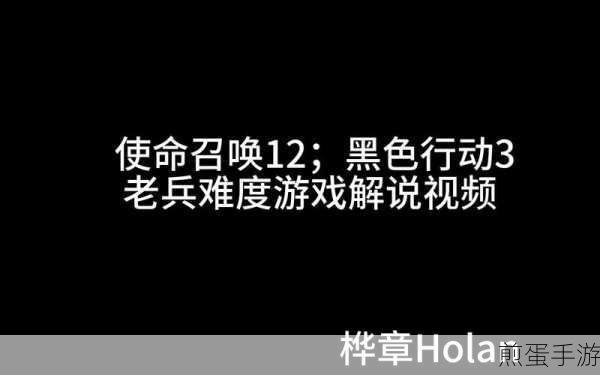 使命召唤12黑色行动3字幕怎么开启,热门游戏技巧分享