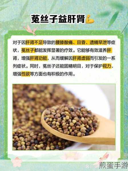 山海镜花菟丝子深度解析，技能与玩法全揭秘