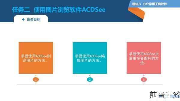ACDSEE8，摄影爱好者的图像管理利器问题全解析