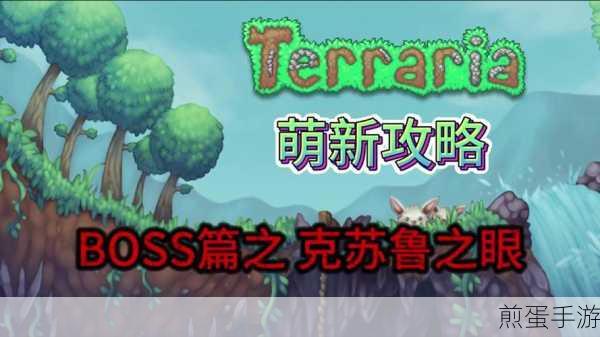泰拉瑞亚教徒何时再现,引发玩家热议