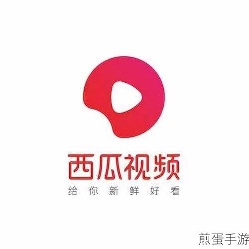 西瓜视频缓存视频大揭秘,轻松找到你的离线宝藏