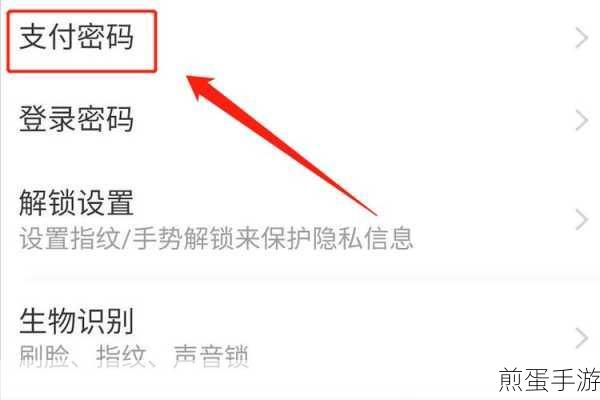 支付宝支付密码设置全攻略,手游玩家必看!