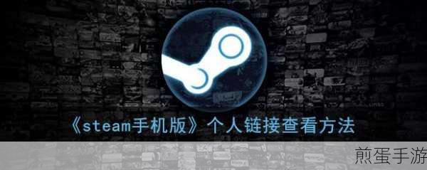 Steam手机版个人链接轻松查,游戏社交新体验