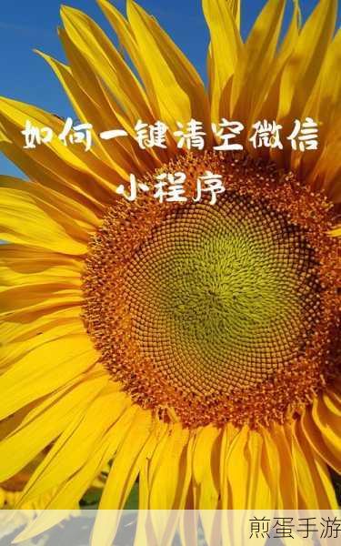 微信小程序轻松删,手机空间更宽敞
