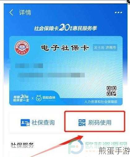 支付宝电子社保卡开通攻略,轻松解锁线上福利
