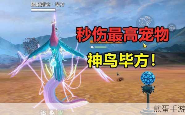 妄想山海，坐骑回血秘法详解，让你的坐骑永远满状态