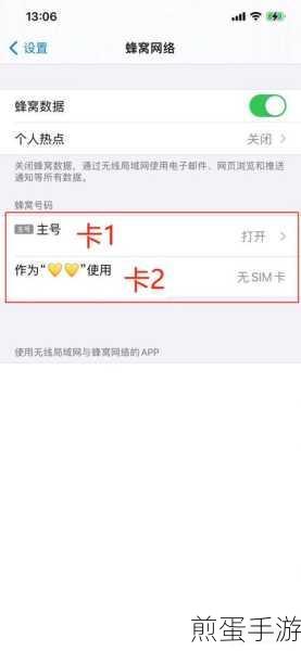 苹果12双卡双待,手游玩家如何设置主卡副卡
