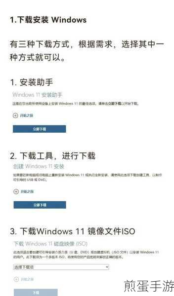 Win11系统隐藏项目大揭秘，手游玩家如何轻松查看